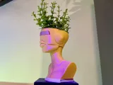 BOT PLANTER-7