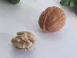 Walnut (with Hinge and Seed)-2