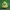 Pokemon - Browt 3MF