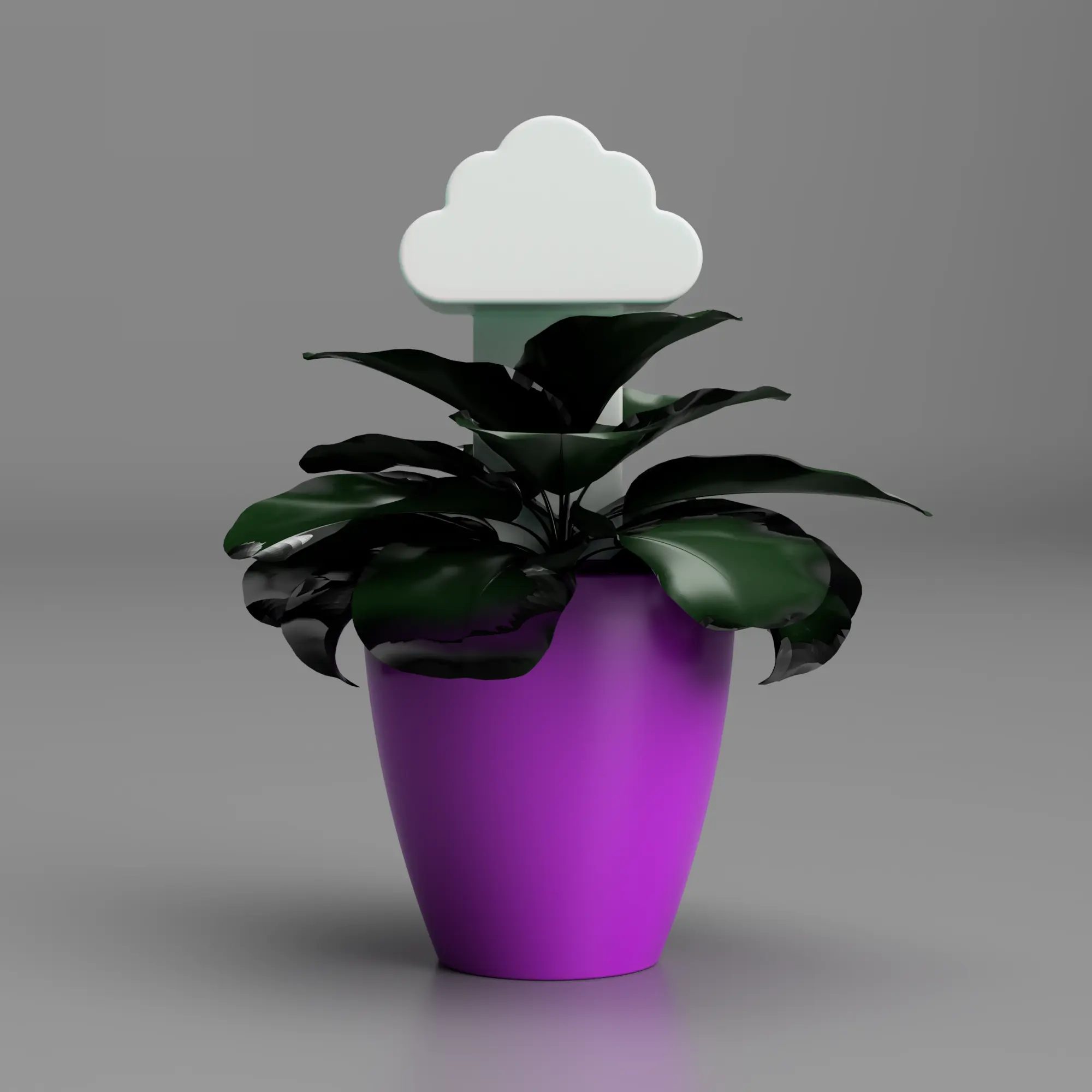 Cute Rain Cloud Planter