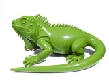 Iguana-2