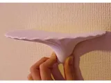 Shelf Mushroom-3