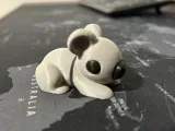 Koala cute-0