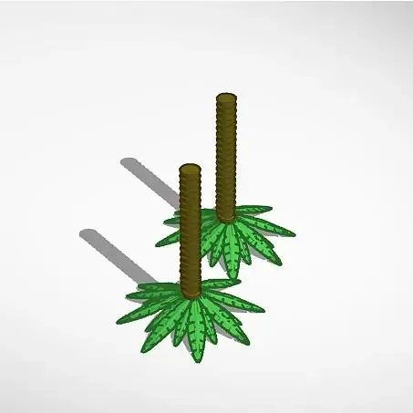 Palm trees
