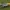 P51D - Mustang RC Plane