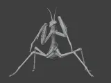 Insect Mantis Assembly Model-1