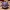 Pokemon - Gengar Multicolor and non multicolor