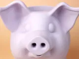 Pig Pen Holder-4