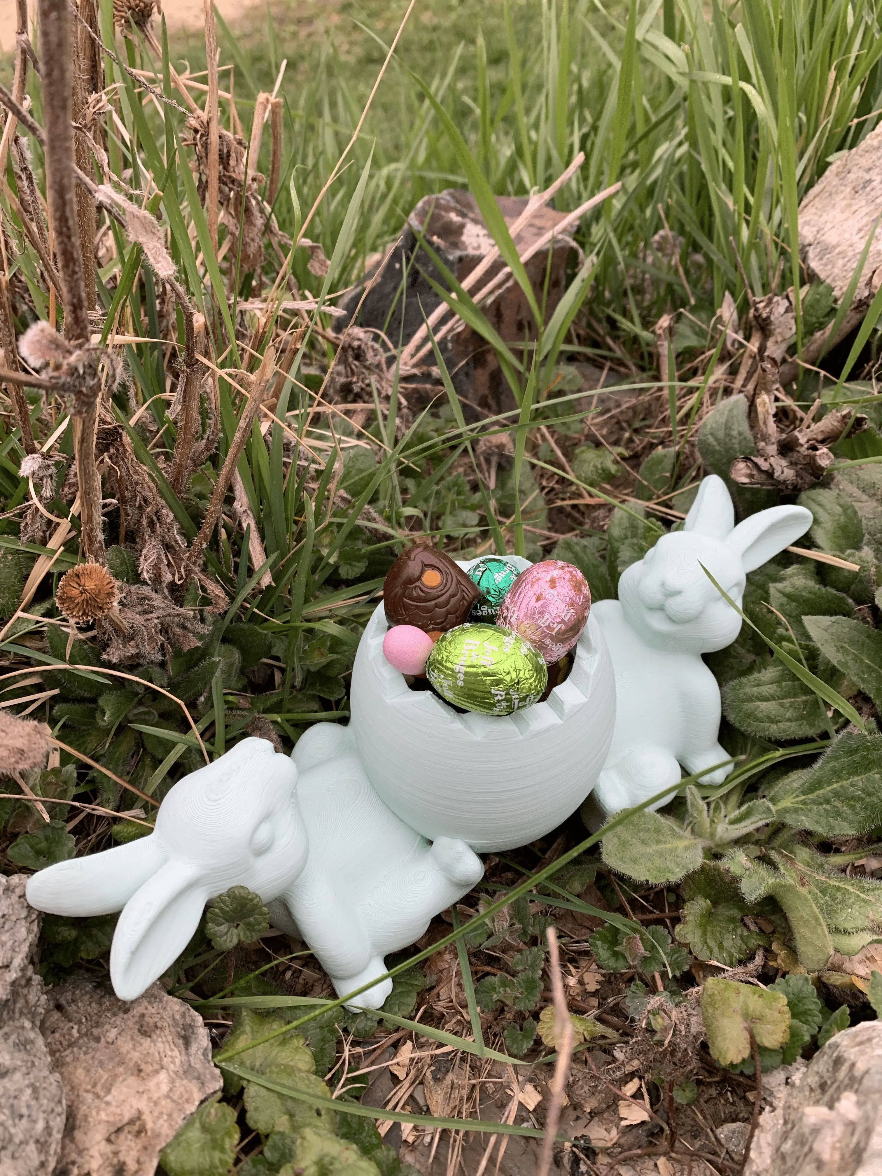 Chocolate Easter Bunny