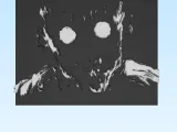 Hunter x Hunter gon rage Art-0