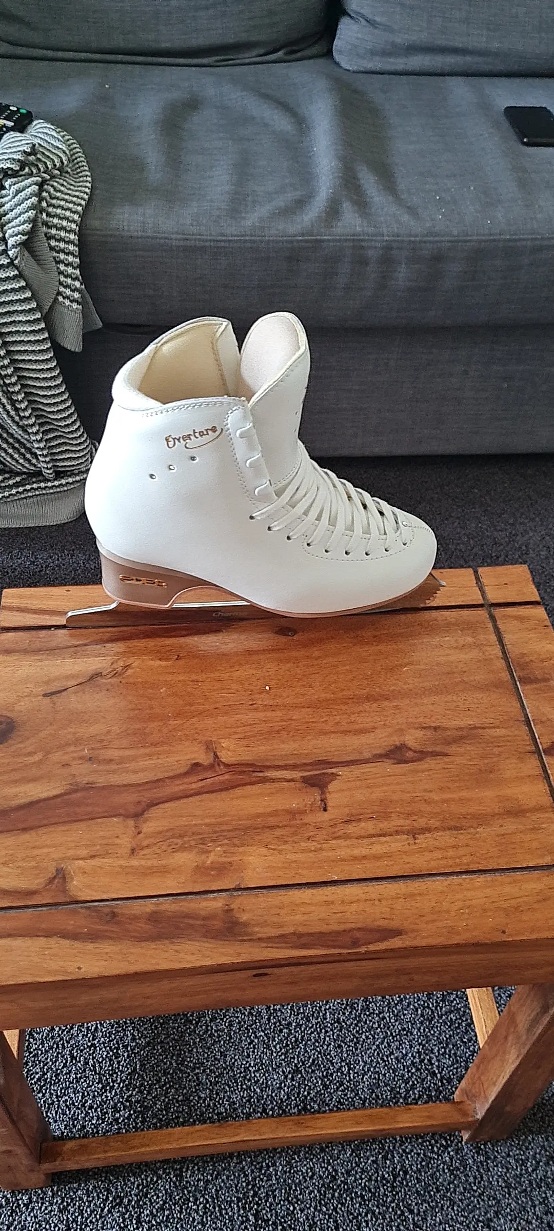 edea skate 3D models download Creality Cloud