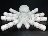 Tarantula - V2 - Flexi Keychain-0