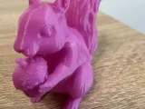 Squirrel-2