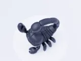 Cute Scorpion-3