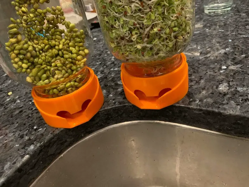 drenaje del tarro de germinados