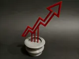K値ツリー大上昇盆栽-0