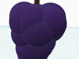 grape grow a garden-2