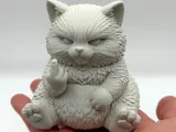 Grumpy Fluff Kitten-0