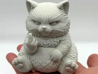Grumpy Fluff Kitten