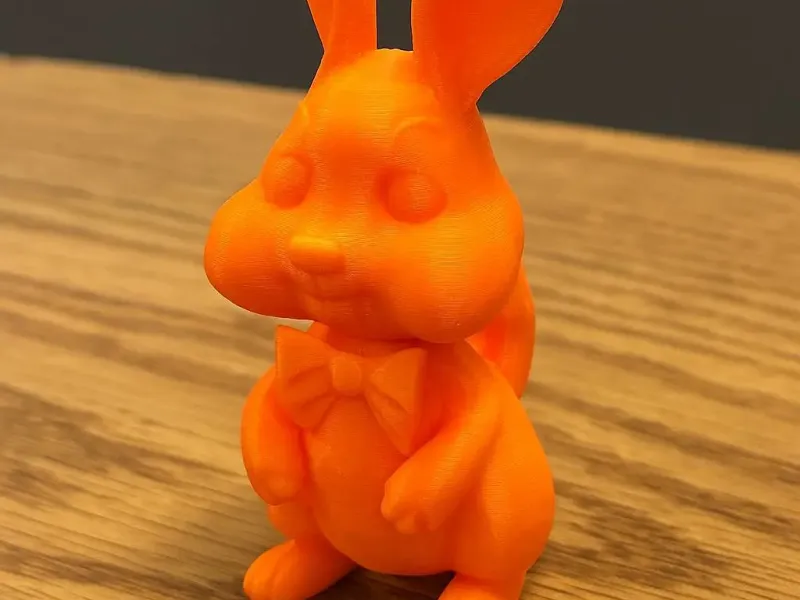Small Bunny