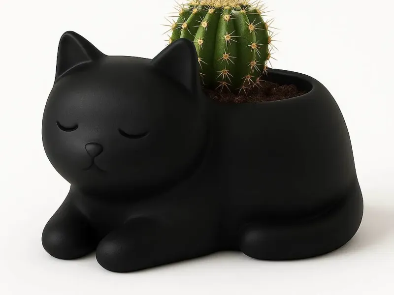 Kitty Cactus pot - Gatito maceta
