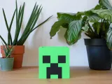 Minecraft Creeper Pot-3