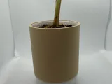 Simple Plant pot self watering 100 mm -1