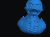 duck -0