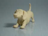 Dachshund-1