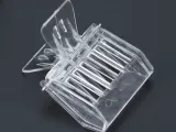 queen bee clip-0