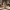 Cat spray its me