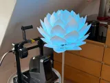 Pinecone Lamp-0