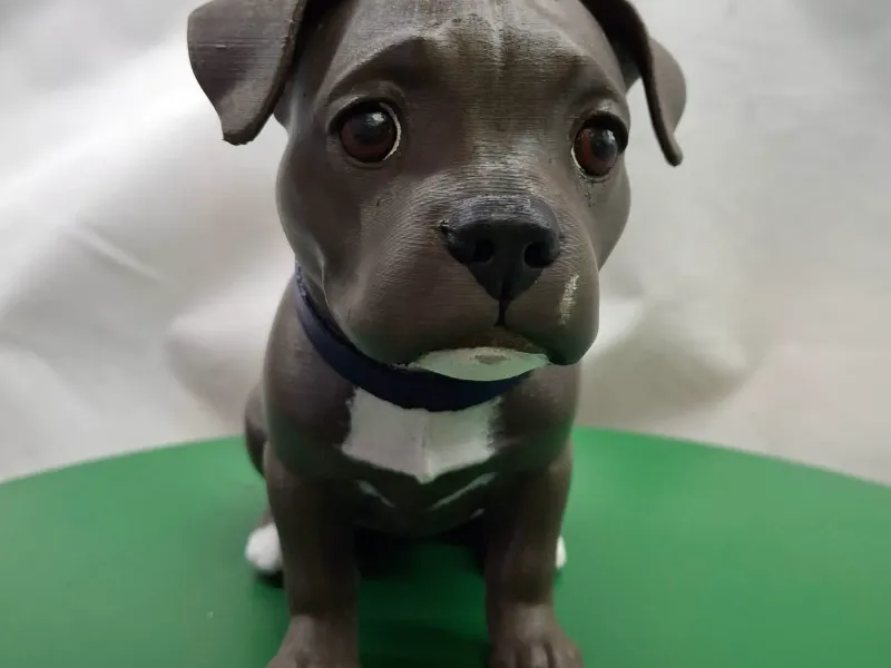 Truus - Engelse Stafford / Englisch Staffordshire terrier
