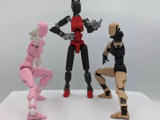 Lady Dummy