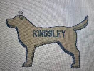Kingsley name tag