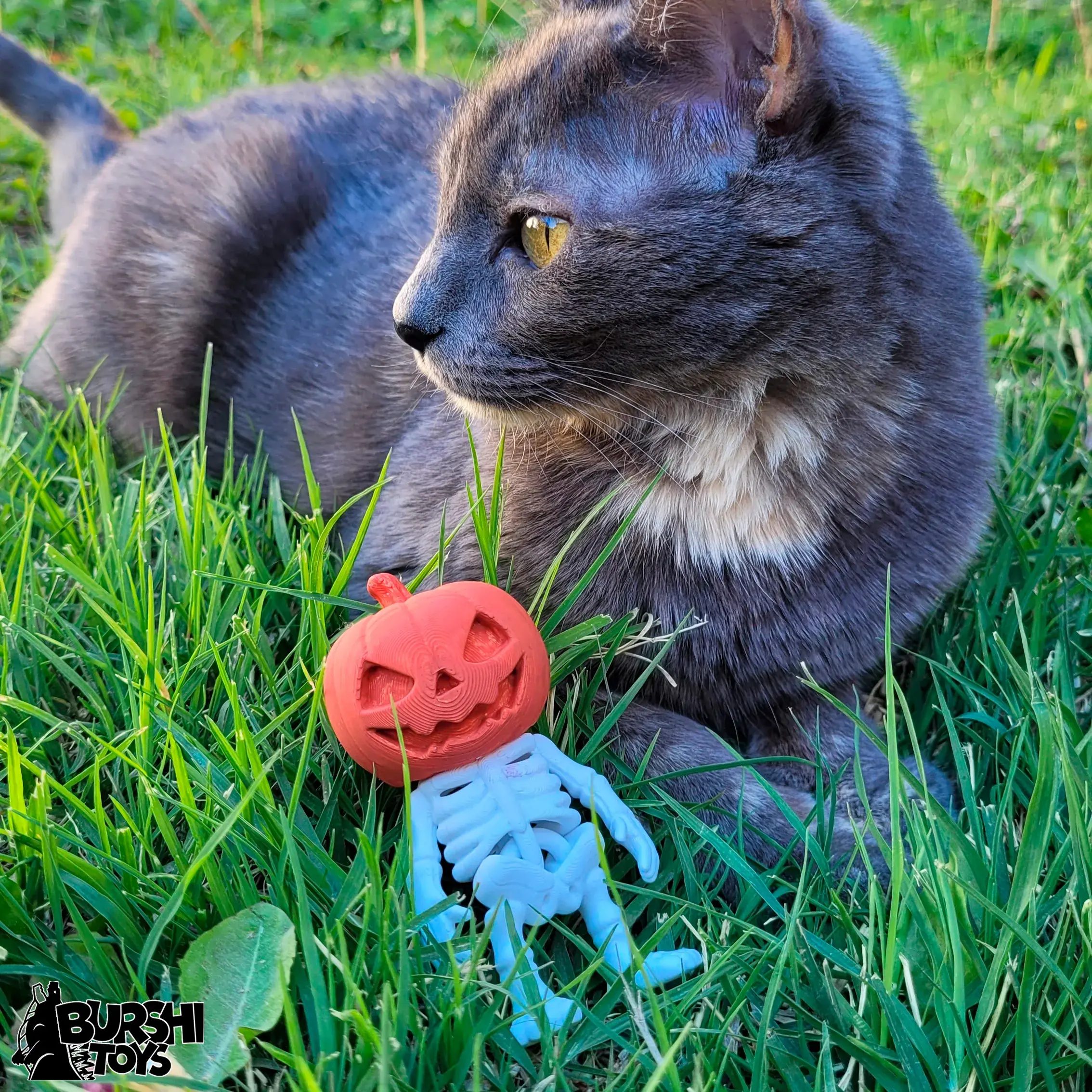 CUTE FLEXI PRINT-IN-PLACE Skeleton Pumpkin