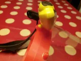 Faceshield with adapter for headlamp-1