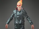 Ghostrider bust-0