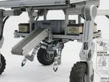rover-0