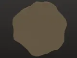 trilabite fossil -5