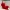 Gothic Cathedral Leviathan – Dragonridge Vessel