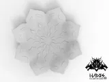 A manadala plate-1