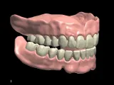 dientes-0
