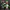 Sprout Dandys world STL Multipart 3D Model no support Fanart
