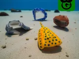 Sting Ray Mini - Multicolor 3mf included-5