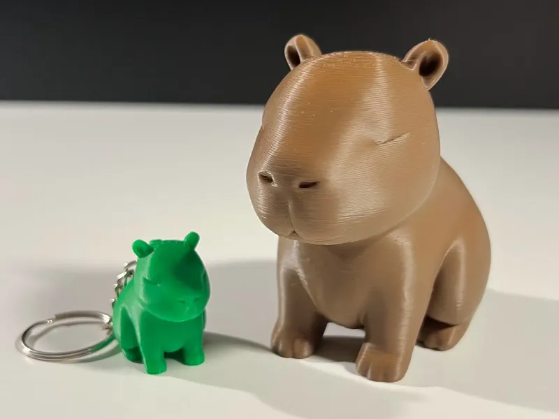 Cute Capybara