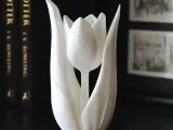 Tulip-0