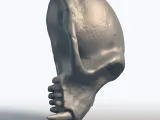 Monkey Skull 3D Model - Primate Anatomy Sculpture-4
