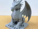Vigilant dragon-1