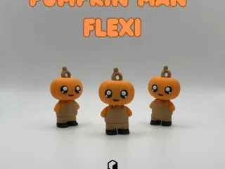 Pumpkin Man Flexi